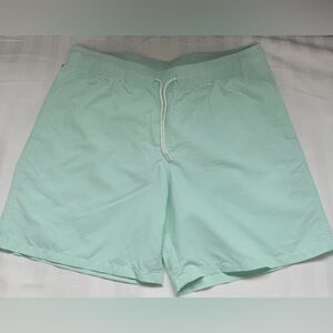 Goodfellow & Co Mint Swim Trunks
